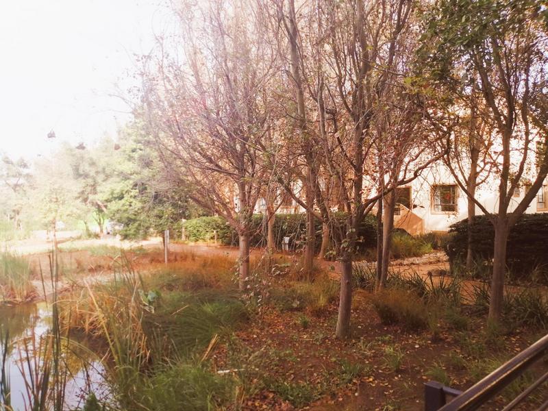 2 Bedroom Property for Sale in Somerset West Western Cape